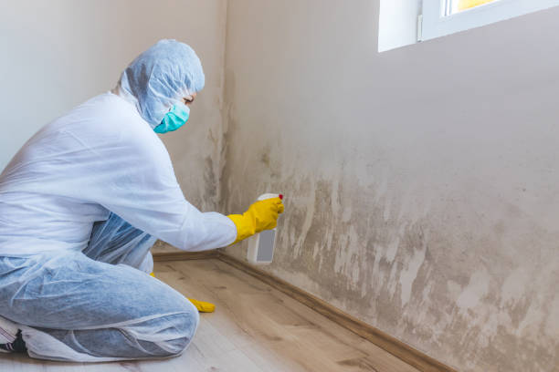 Commercial Mold Remediation assessment for commercial property in Clarksville